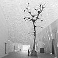 L'arte di Giuseppe Penone conquista il Louvre di Abu Dhabi
