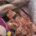 Fra Bologna e la Romagna i Nas scoprono cucine da incubo