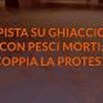 Pista su ghiaccio e pesci morti, scoppia la protesta: parco giochi chiude