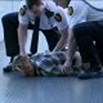 Australia: proteste per i rifugiati, caos in Parlamento