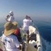 Delfini di Roma - INSIGHTS: Sulla Rotta dei Cetacei